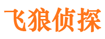 西丰市调查公司